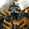 bumblebee