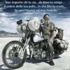 intrepid