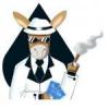 Donkey